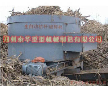 大型荔枝视频污下载